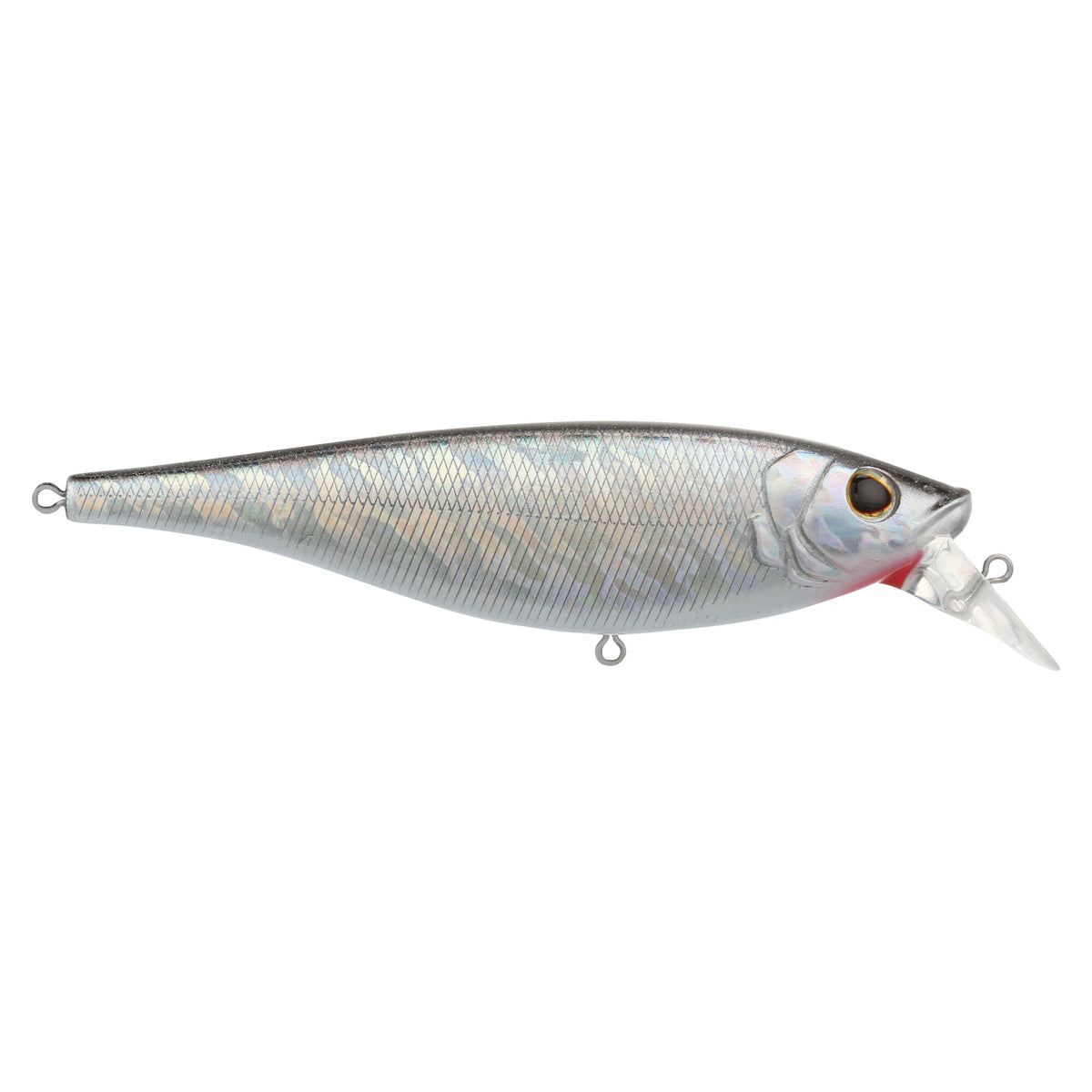 Berkley Juke Saltwater