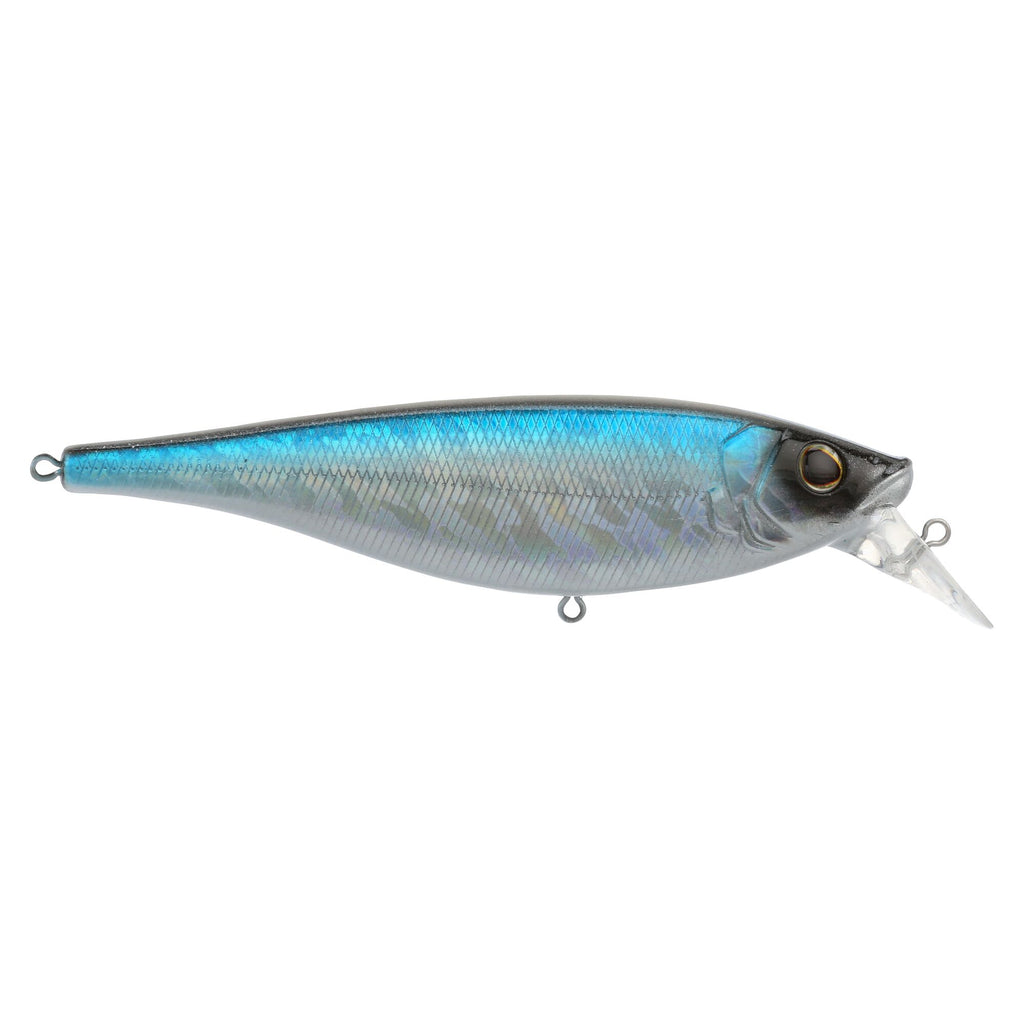 Berkley Juke Saltwater