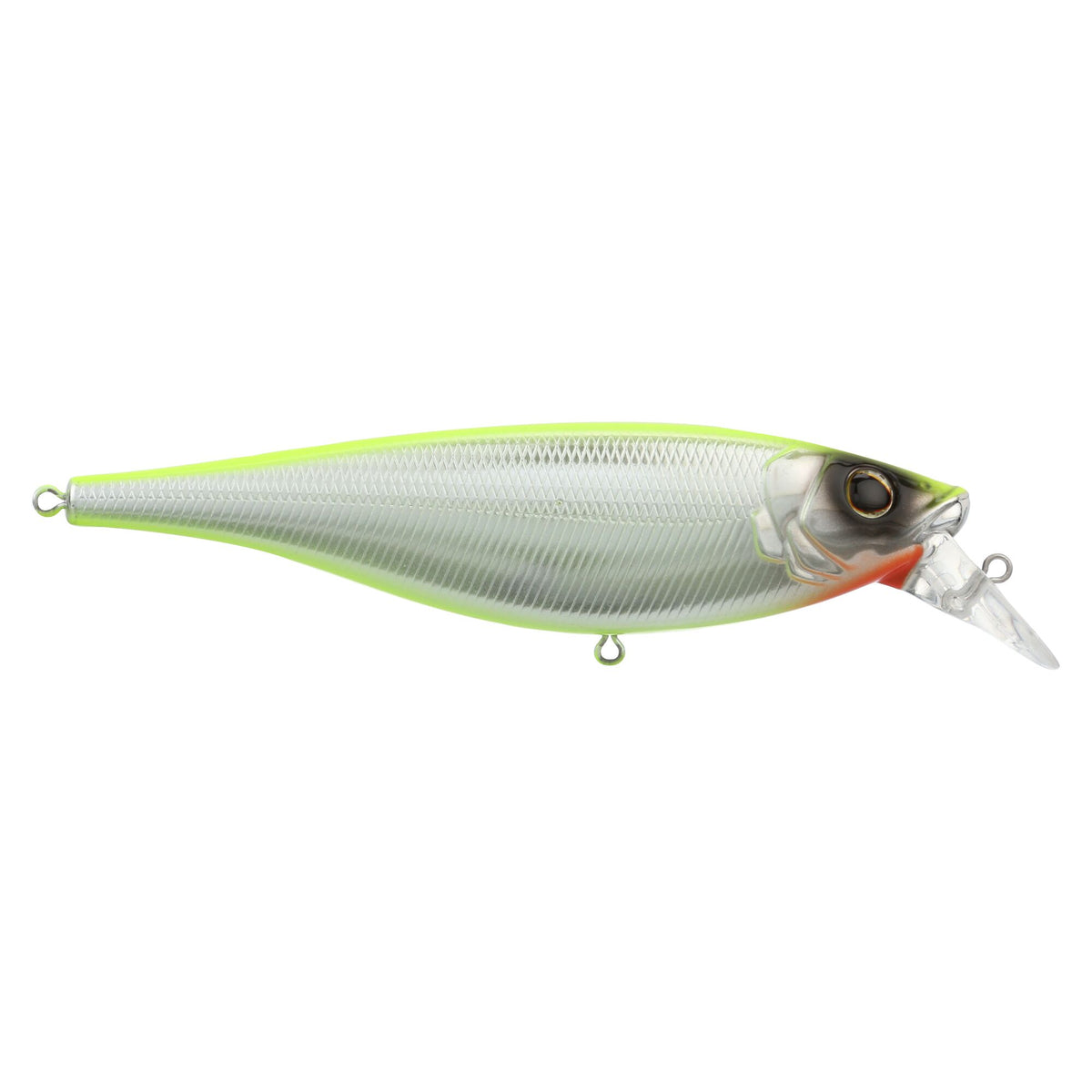 Berkley Juke Saltwater