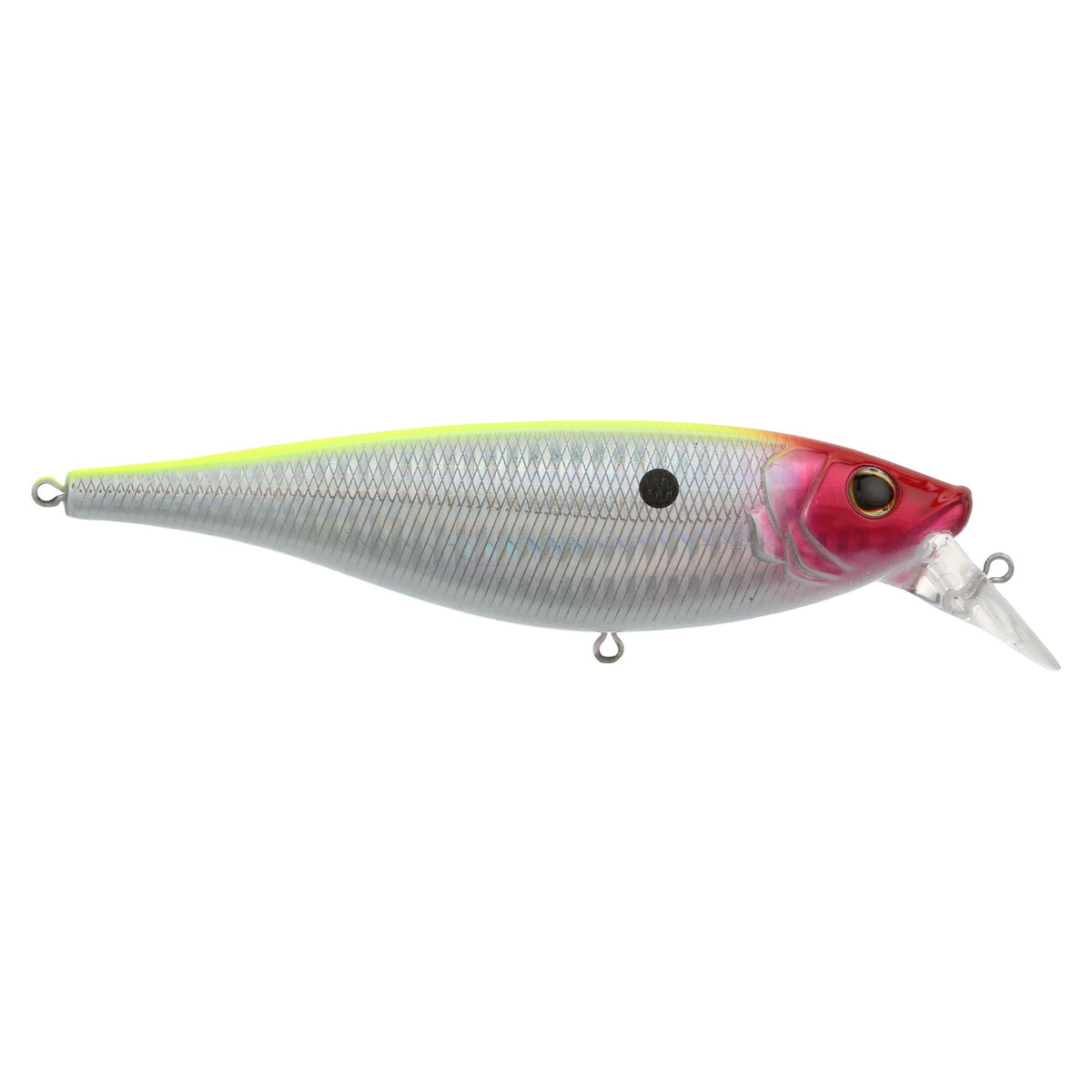 Berkley Juke Saltwater