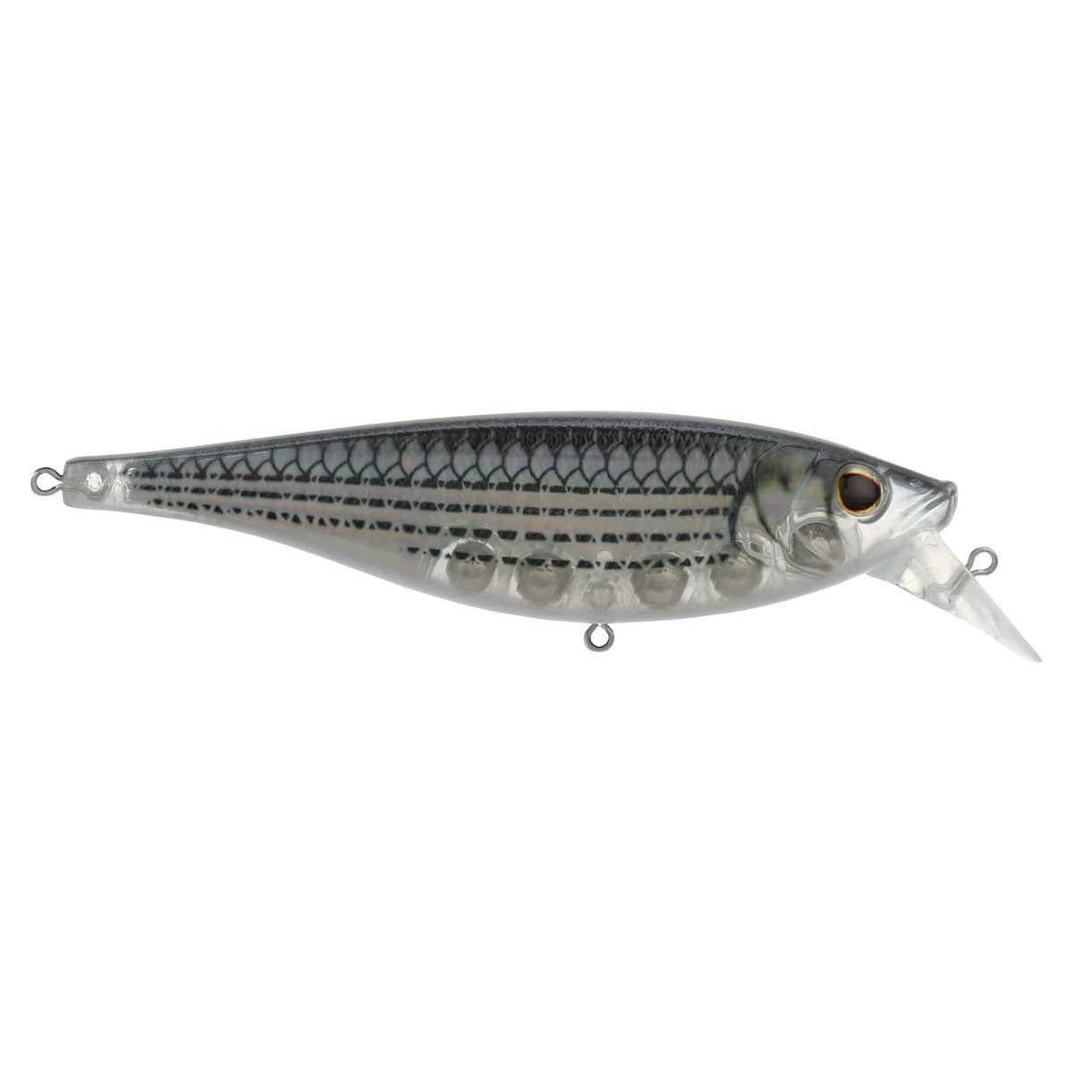 Berkley Juke Saltwater