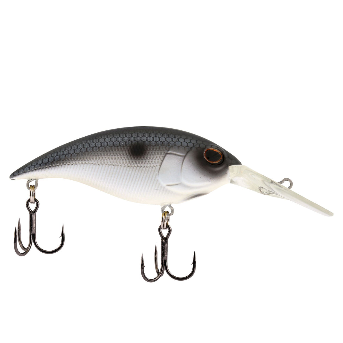 Berkley Money Badger