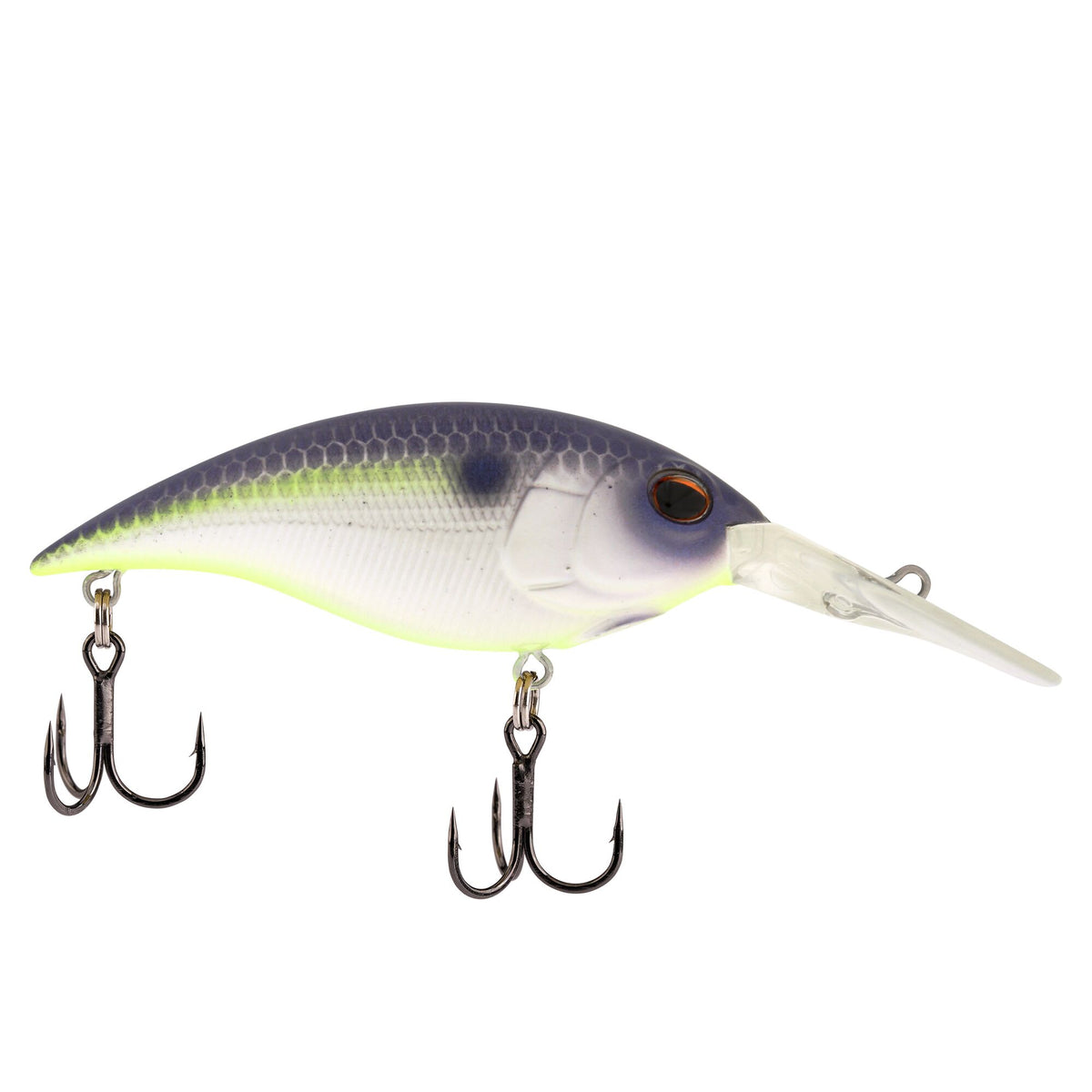 Berkley Money Badger
