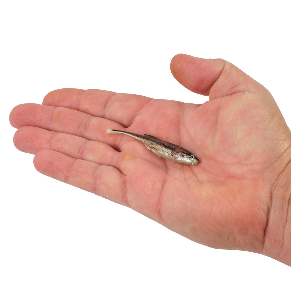 Berkley PowerBait® Drip Minnow