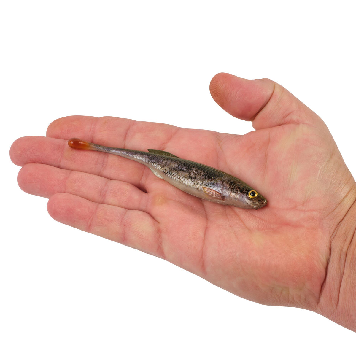 Berkley PowerBait® Drip Minnow