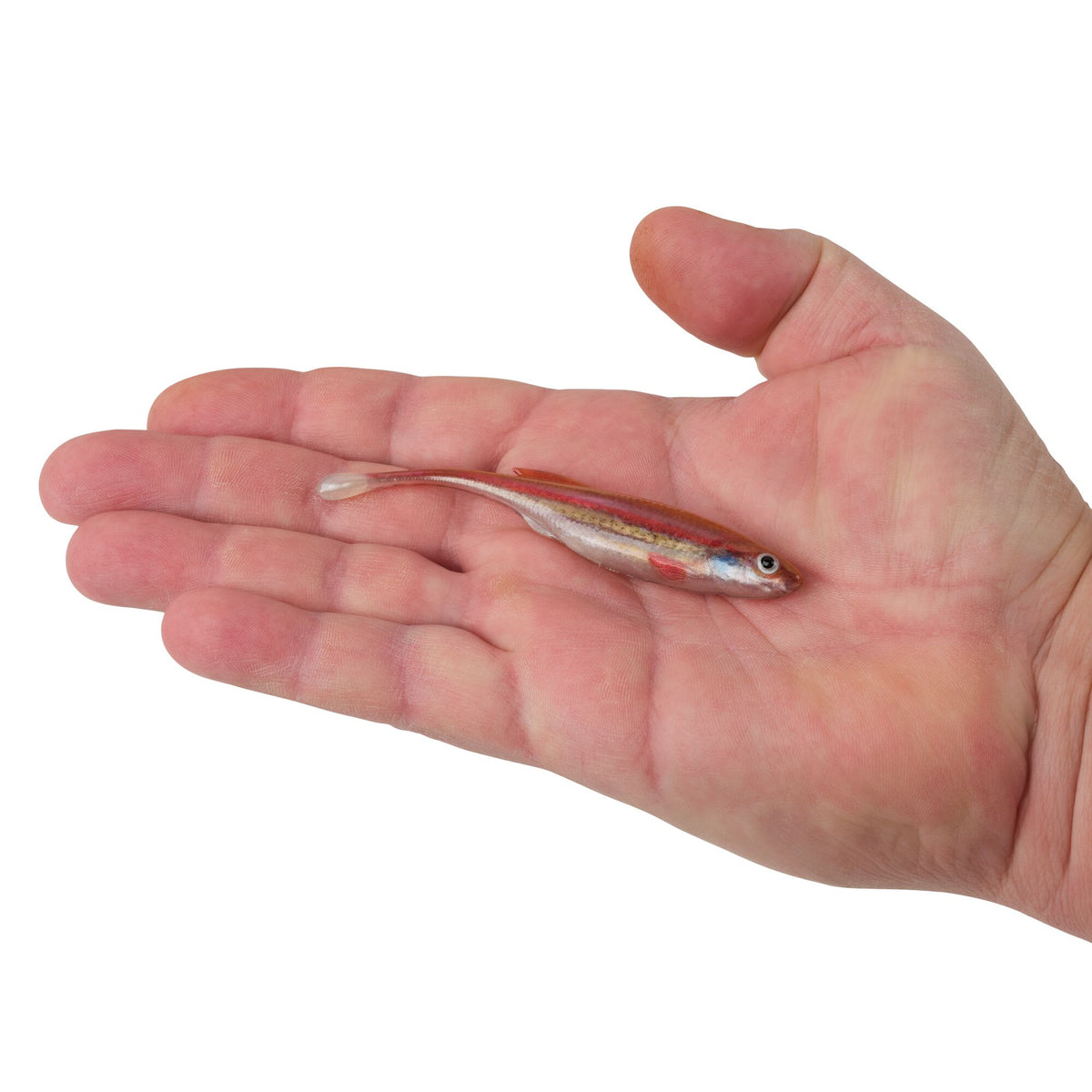 Berkley PowerBait® Drip Minnow