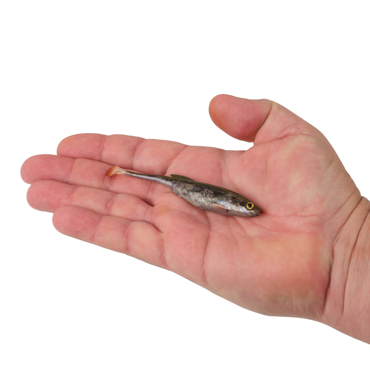Berkley PowerBait® Drip Swimmer