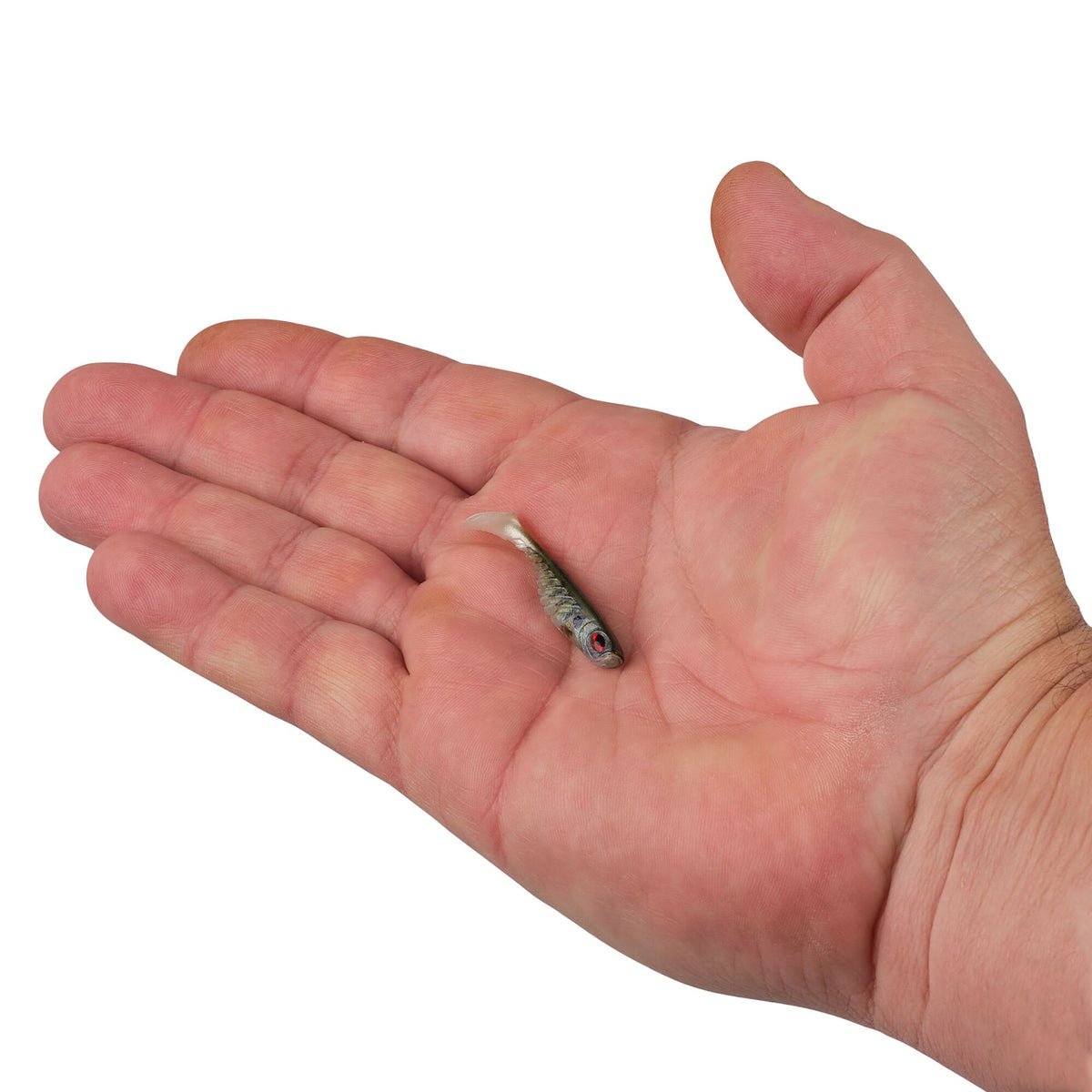 Berkley PowerBait® Ripple Shad