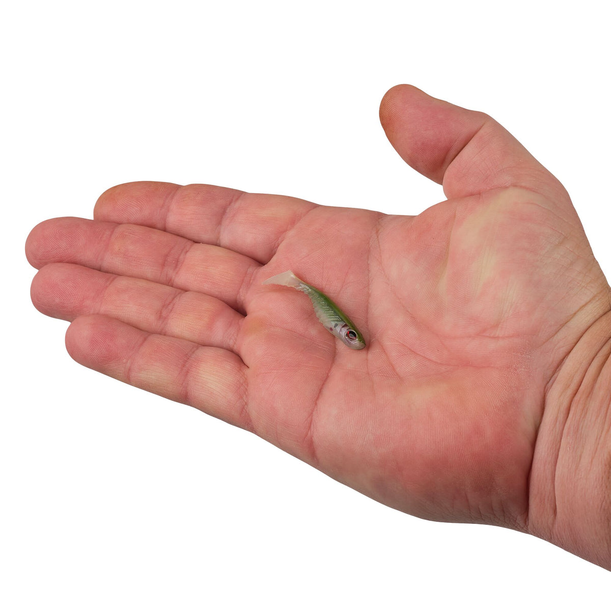 Berkley PowerBait® Ripple Shad