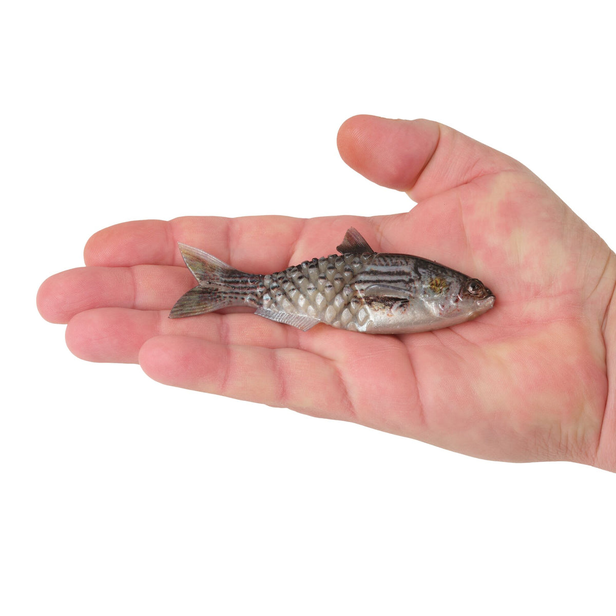 Berkley PowerBait® Saltwater Gillydine