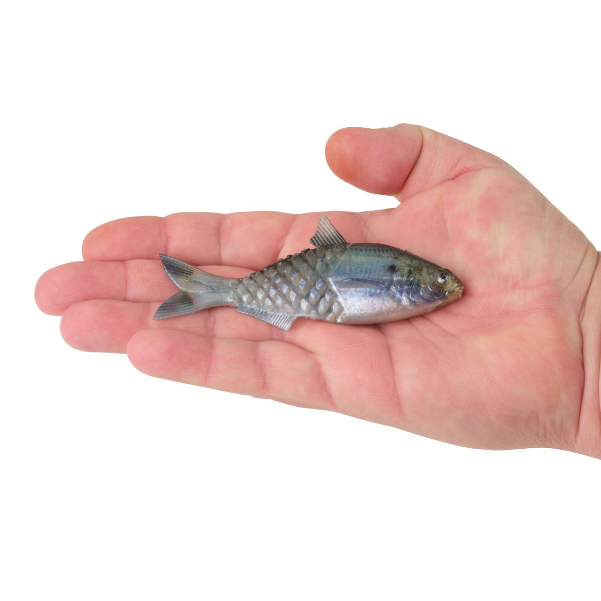 Berkley PowerBait® Saltwater Gillydine