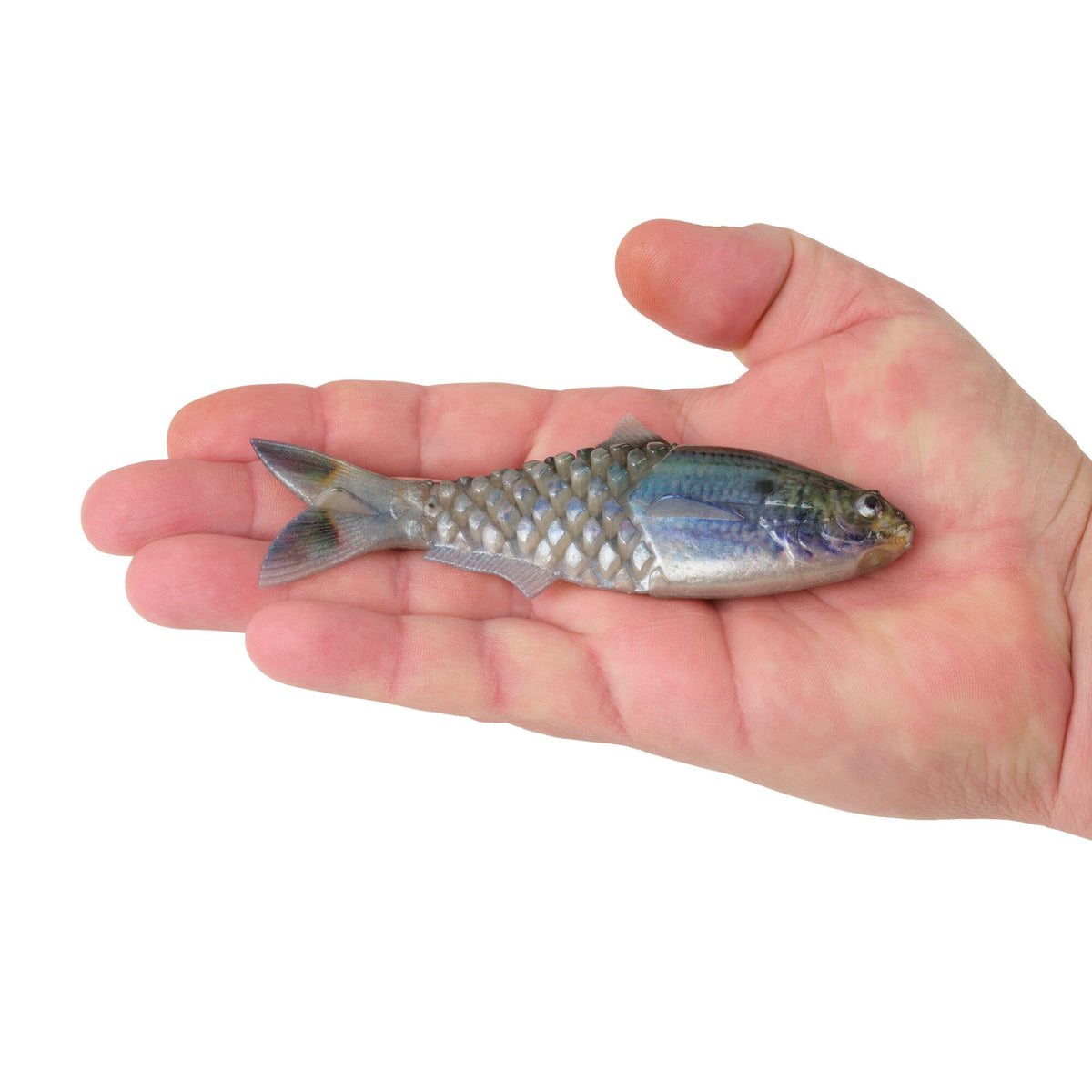 Berkley PowerBait® Saltwater Gillydine