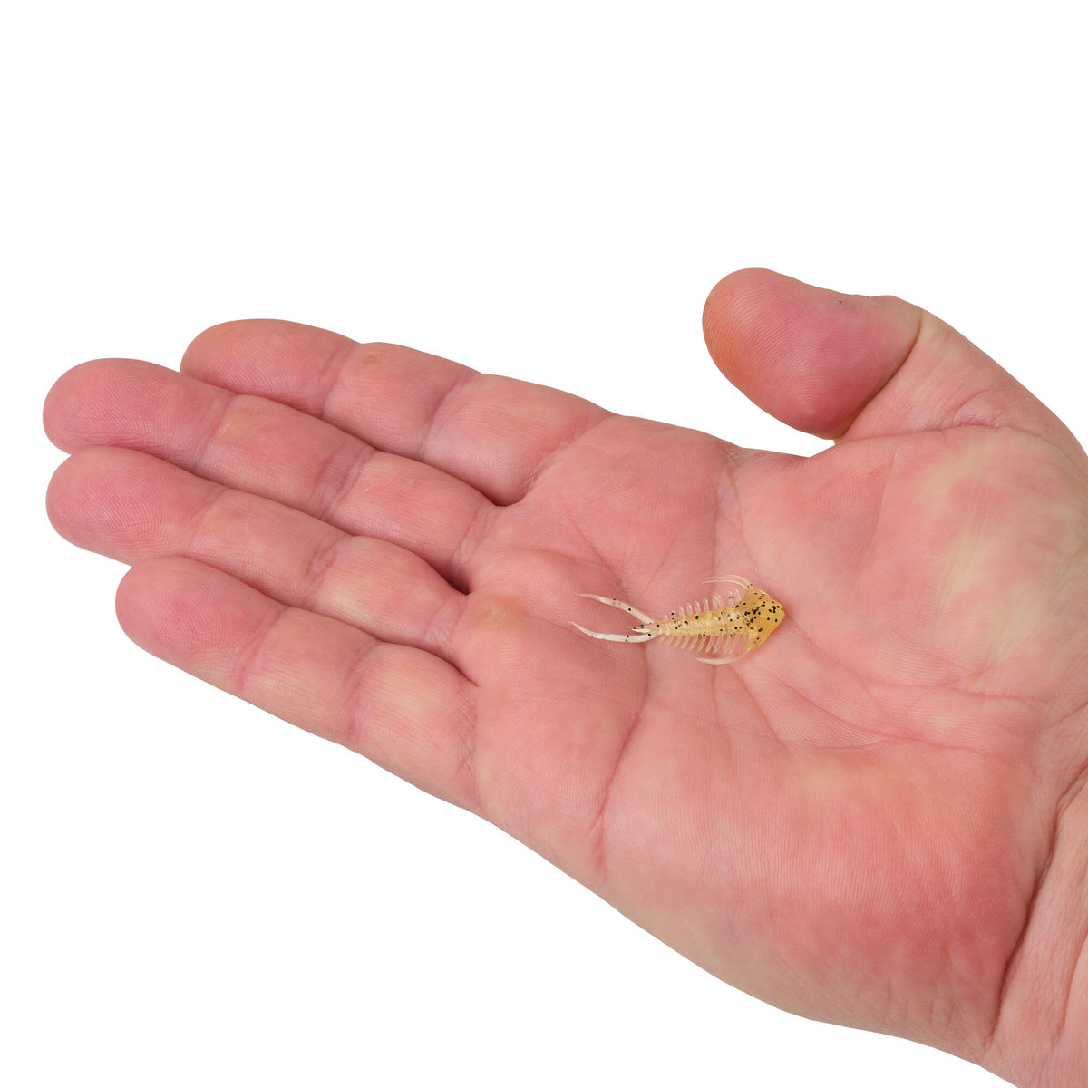 Berkley PowerBait® Trilobite