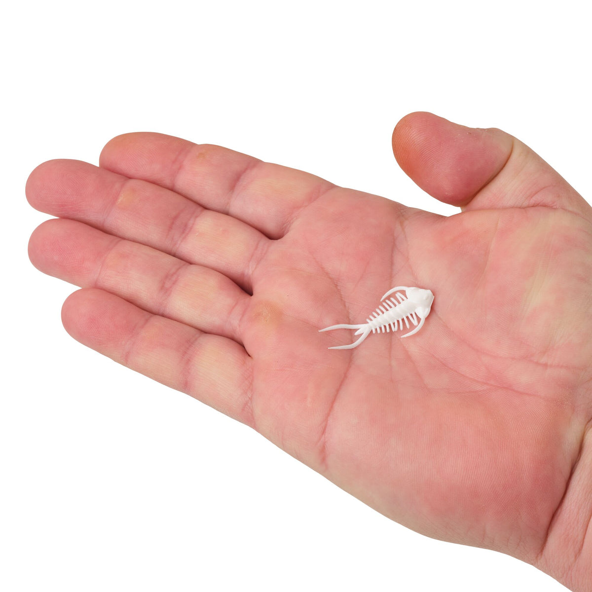 Berkley PowerBait® Trilobite