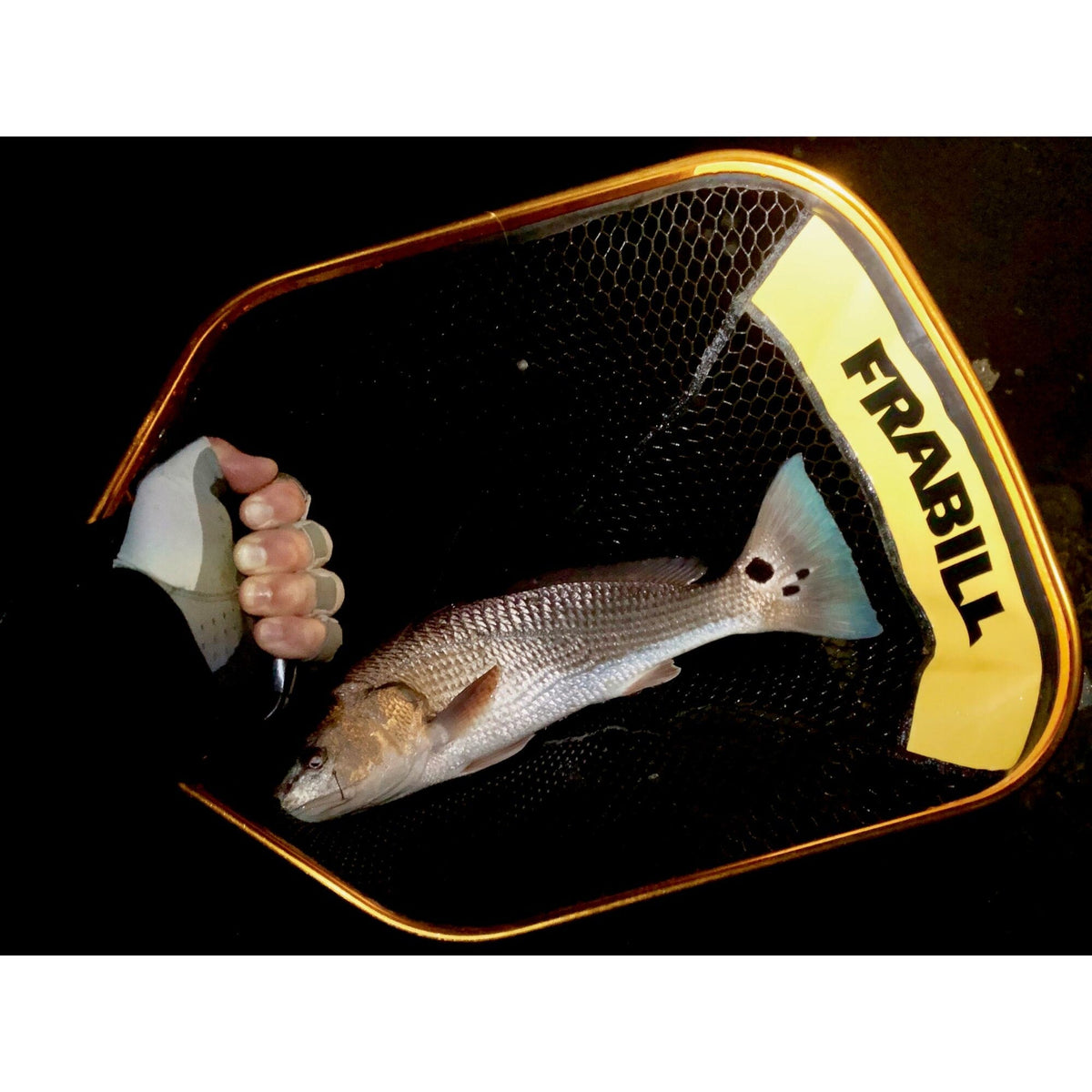Frabill Bearclaw Trophy Haul™ Net