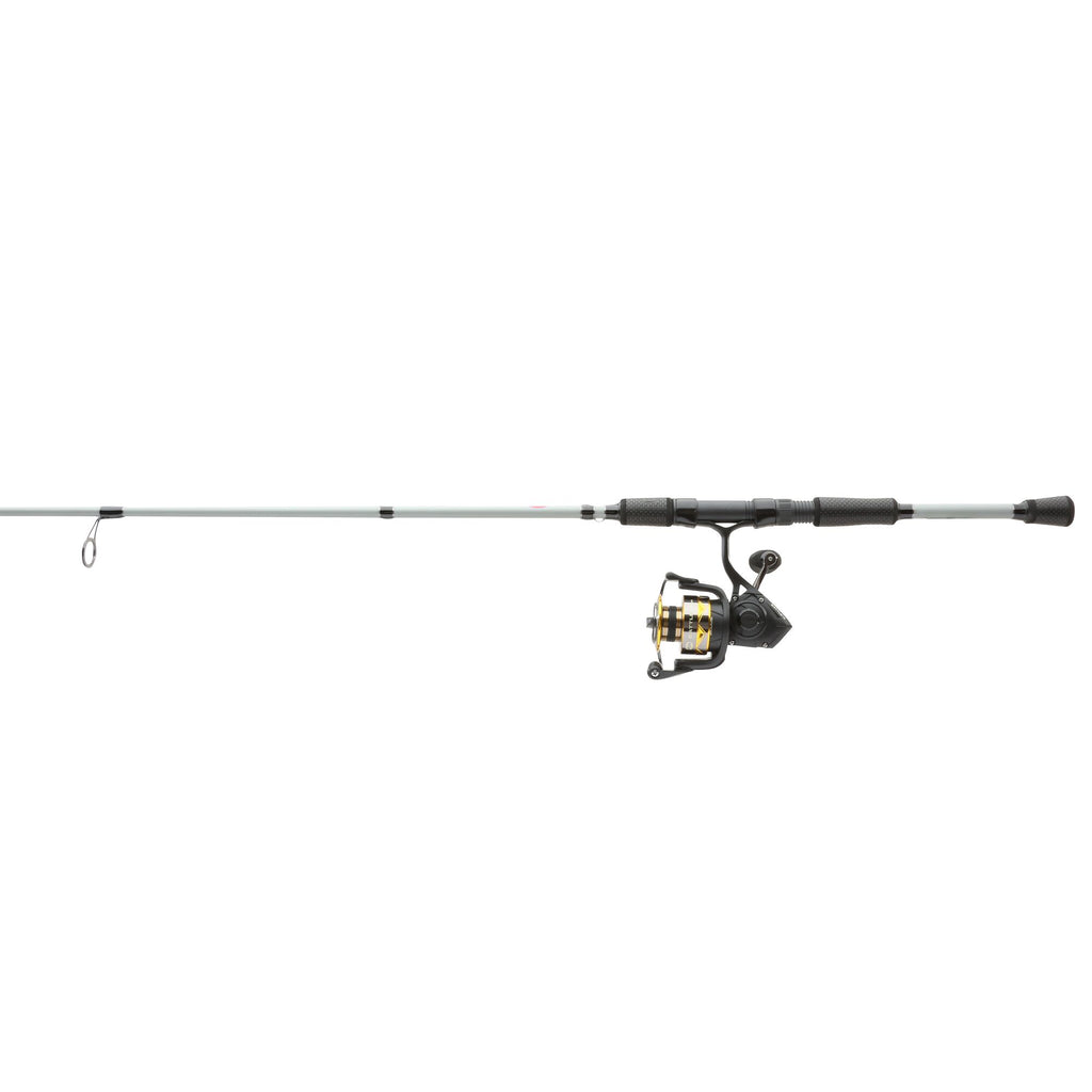 PENN Battle® IV LE Spinning Combo