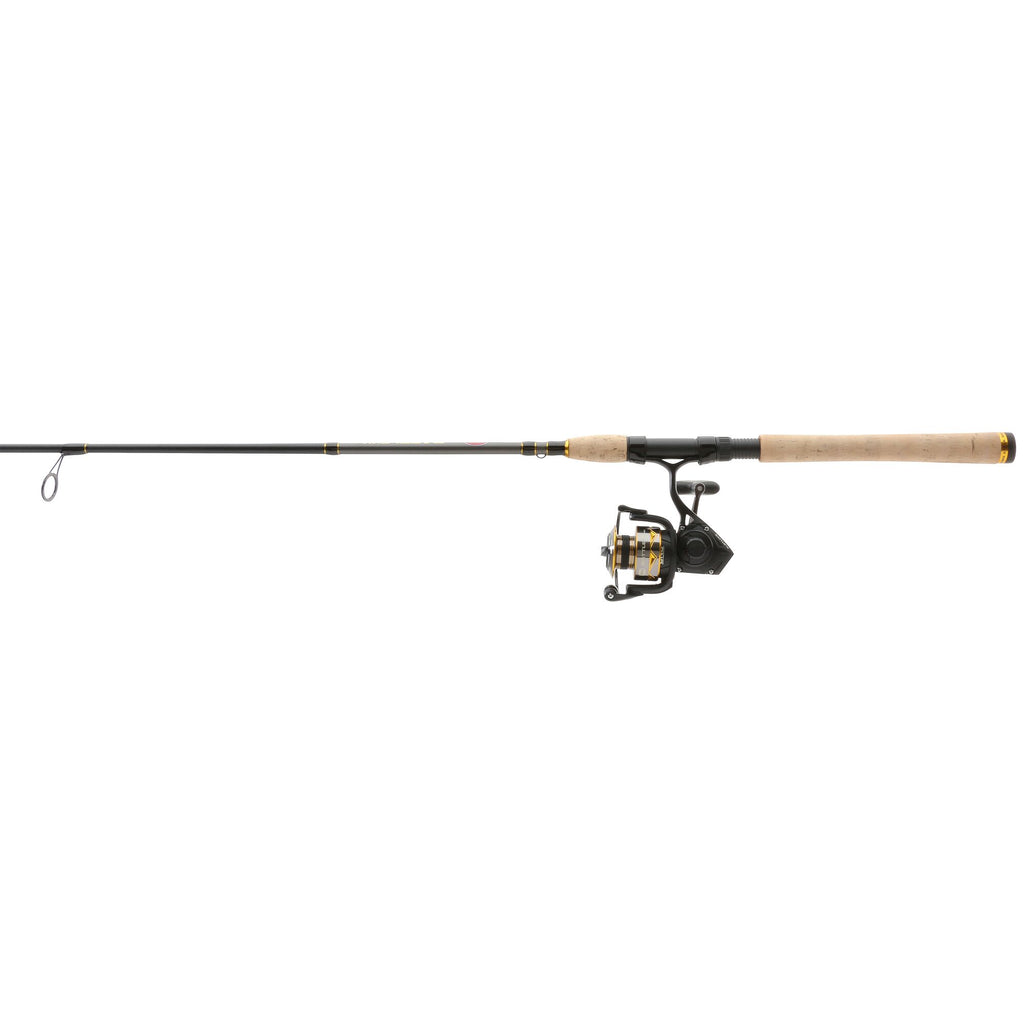 PENN Battle® IV Spinning Combo