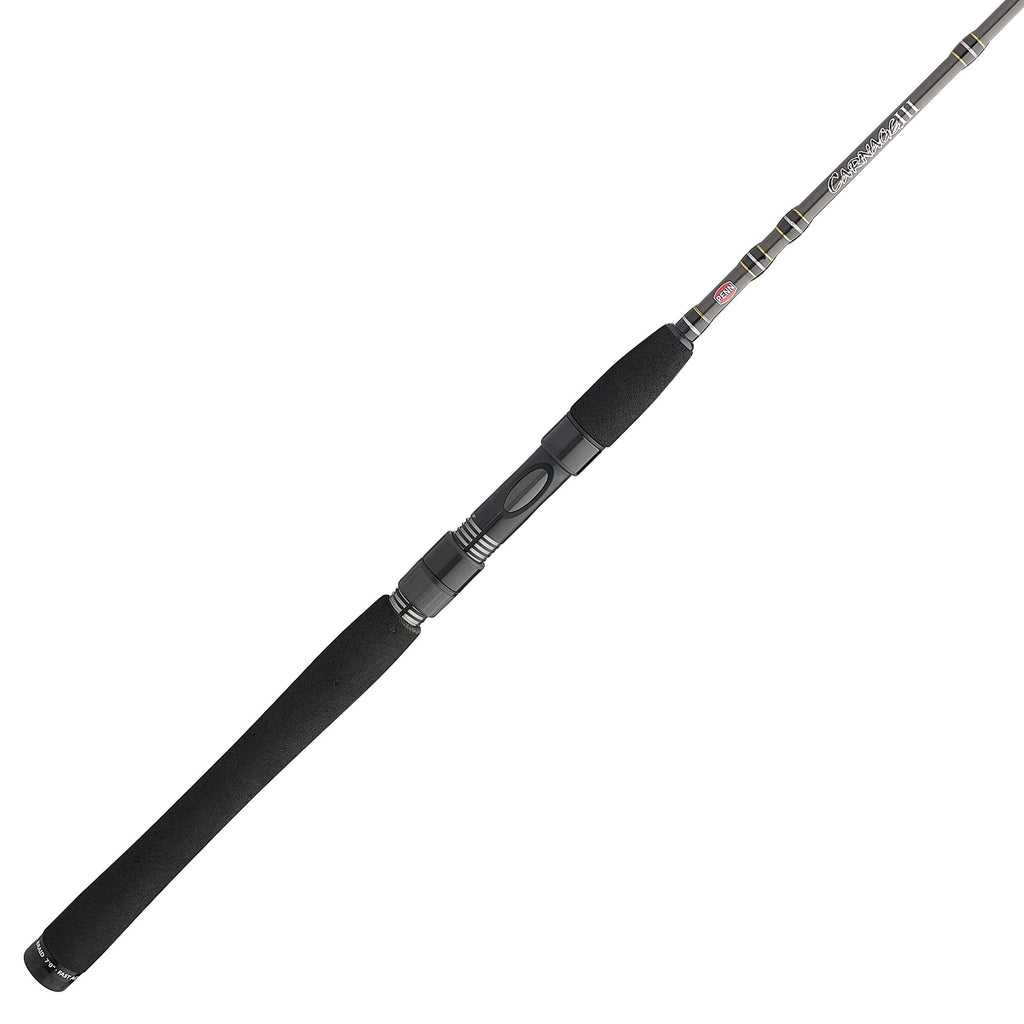 PENN Carnage® III Inshore Spinning Rod