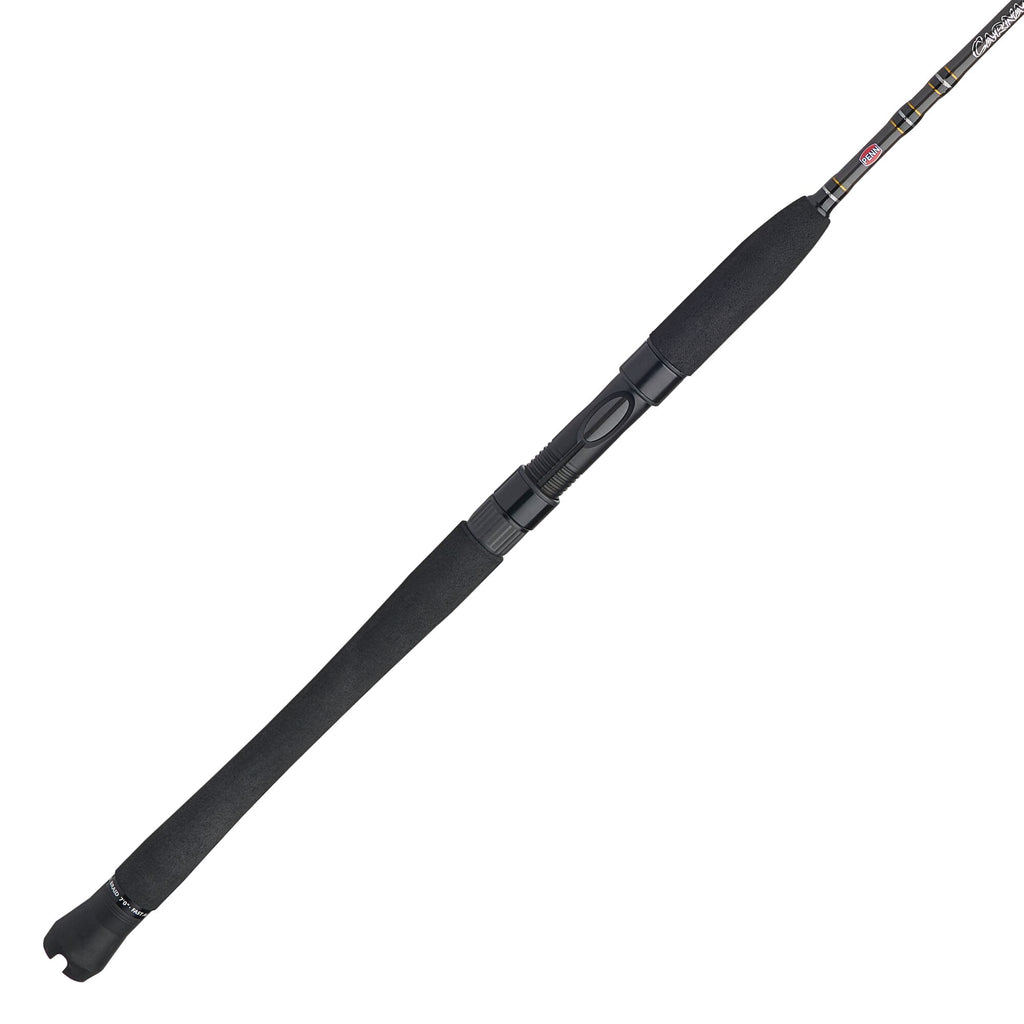 PENN Carnage® III Inshore Spinning Rod