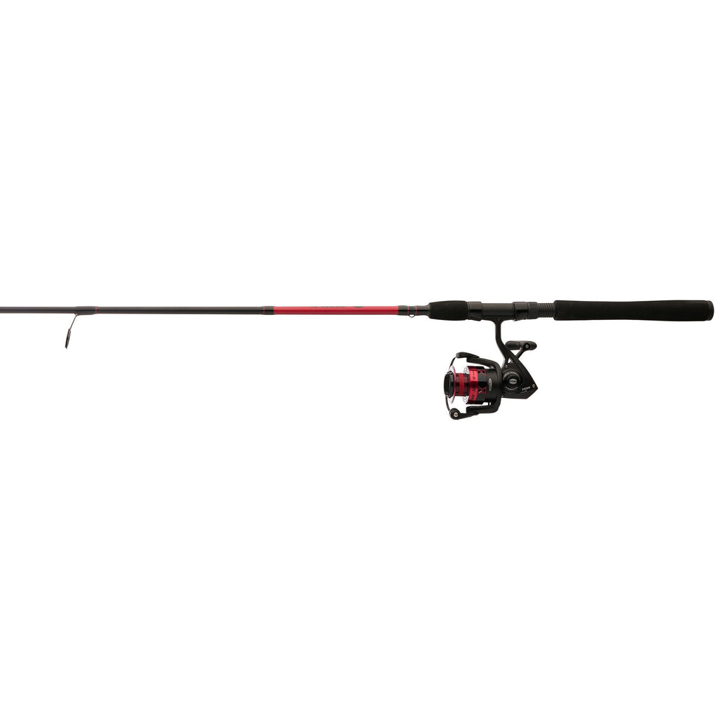 PENN Fierce® IV Spinning Combo