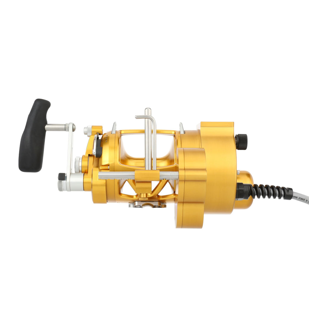 PENN International® VI Autostop Electric Reel