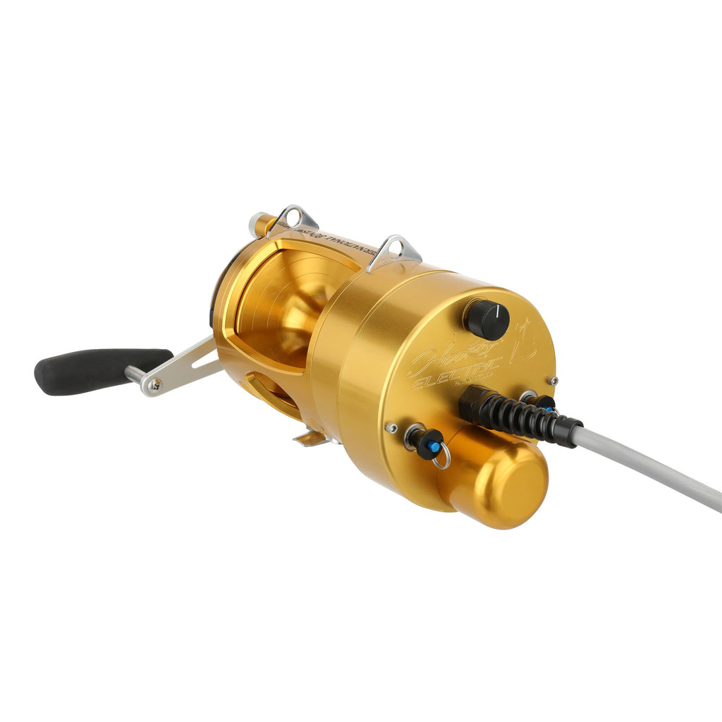 PENN International® VI Detachable Electric Reel