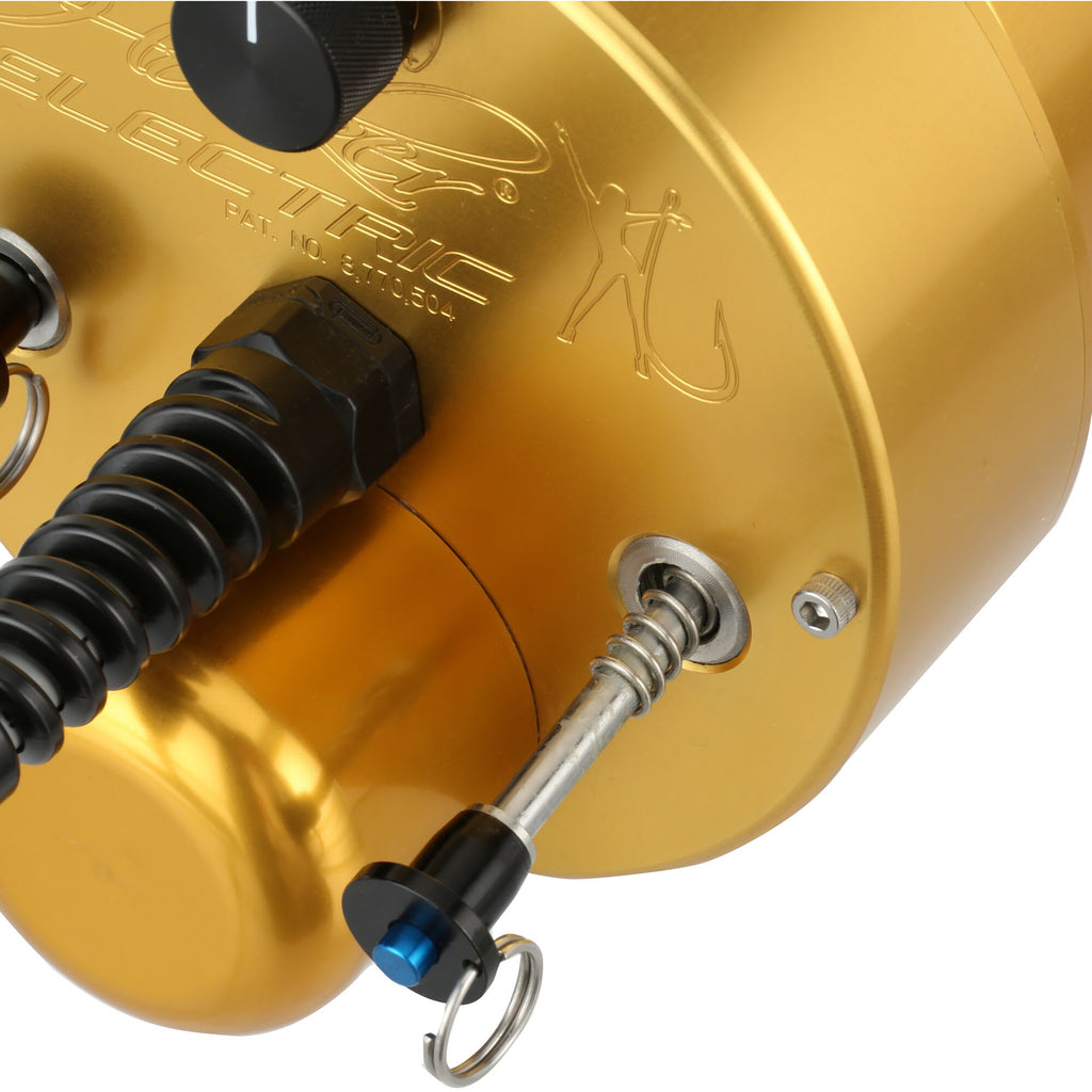 PENN International® VI Detachable Electric Reel