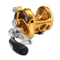 PENN International® VISX Extreme Conventional Reel