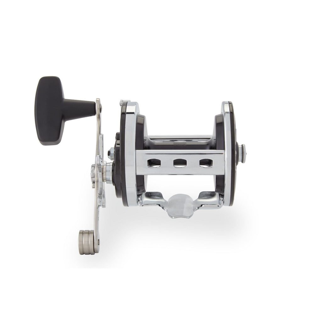 PENN Jigmaster® Star Drag Conventional Reel