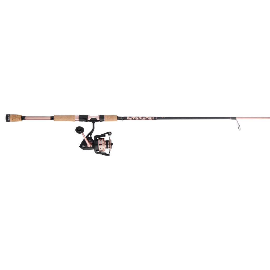 PENN Passion® II Spinning Combo