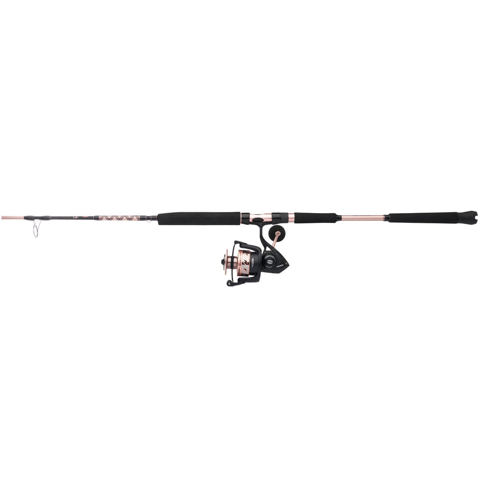 PENN Passion® II Spinning Combo