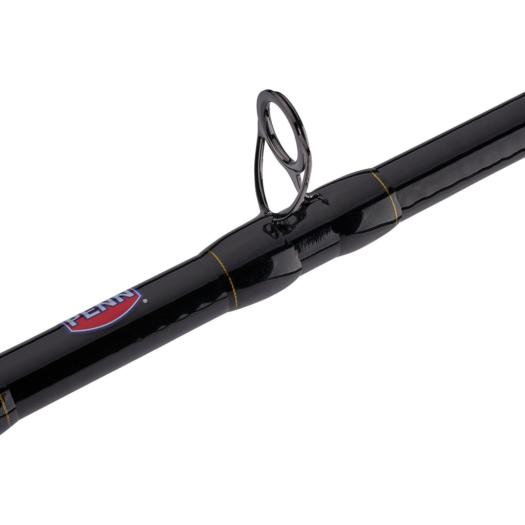 PENN Squall® II Lever Drag Conventional Combo