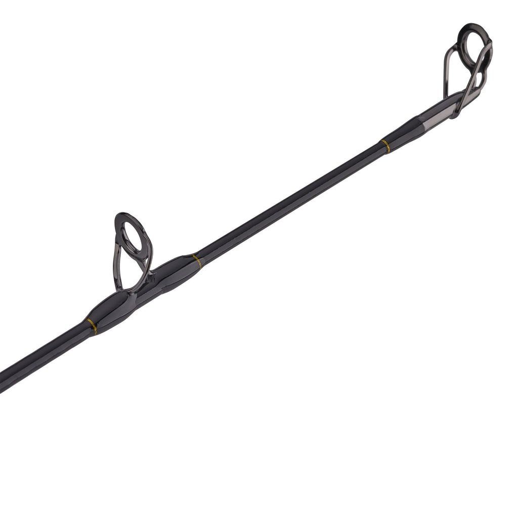 PENN Squall® II Lever Drag Conventional Combo
