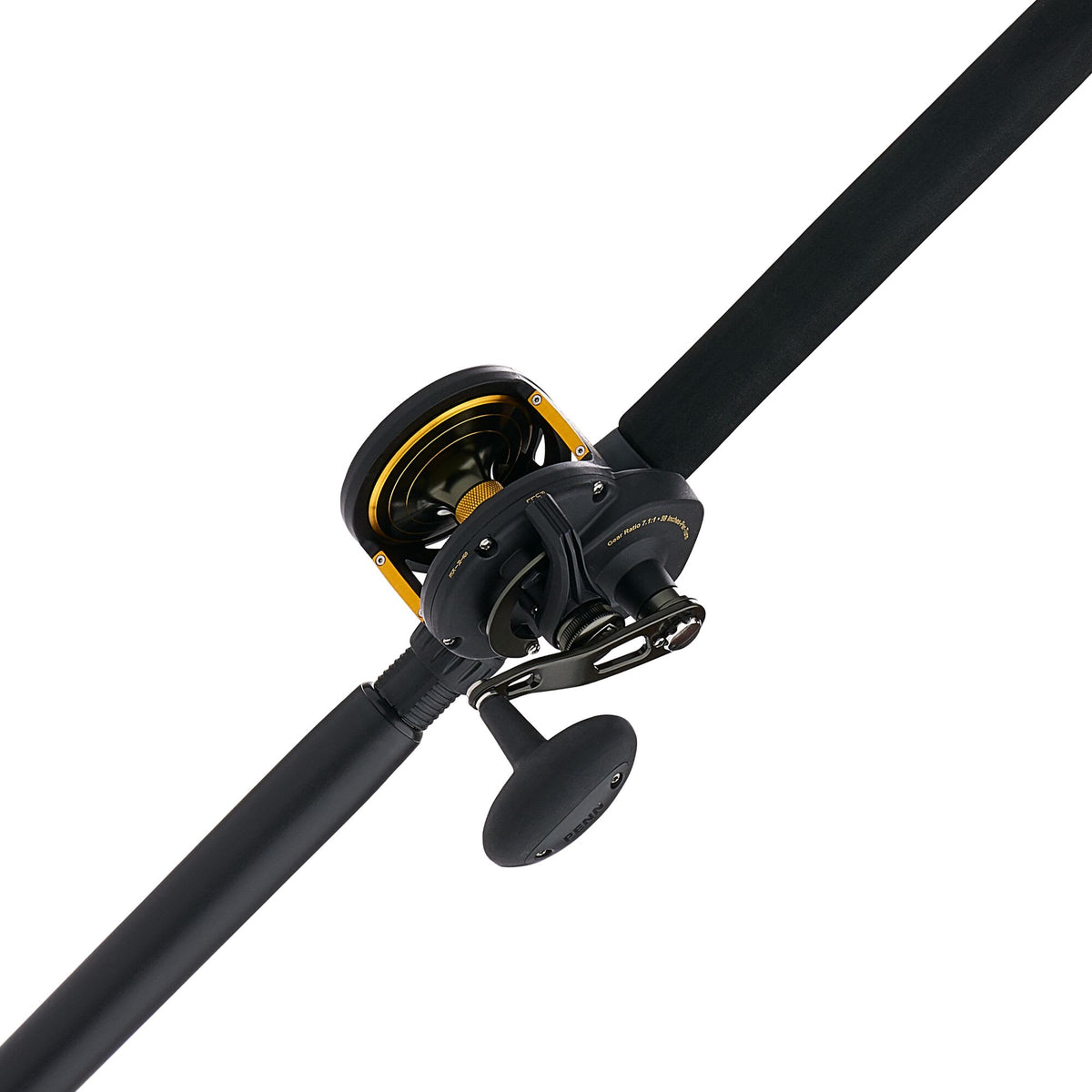 PENN Squall® II Lever Drag Conventional Combo
