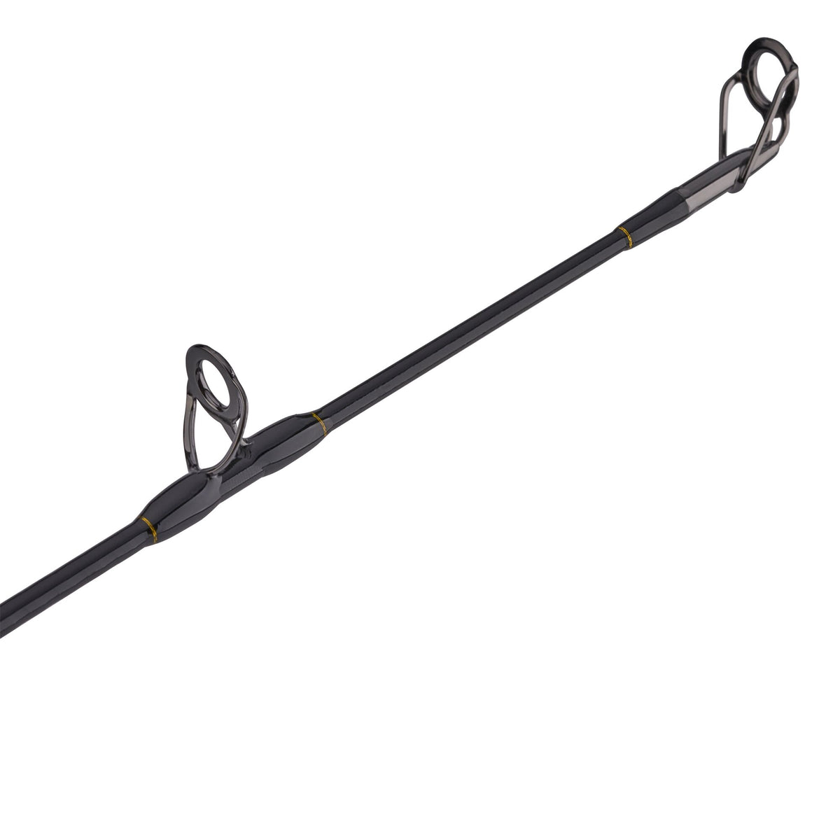 PENN Squall® II Lever Drag Conventional Combo