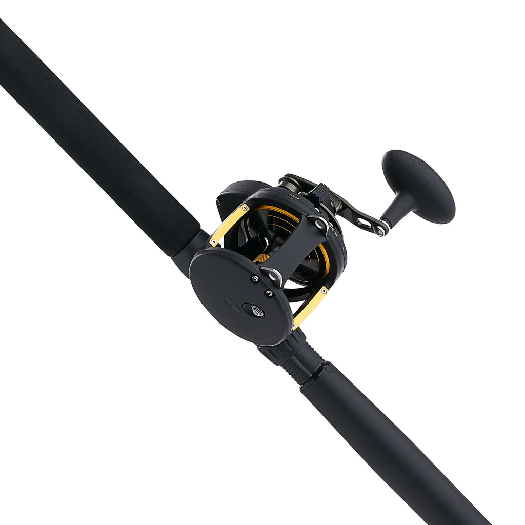 PENN Squall® II Lever Drag Conventional Combo