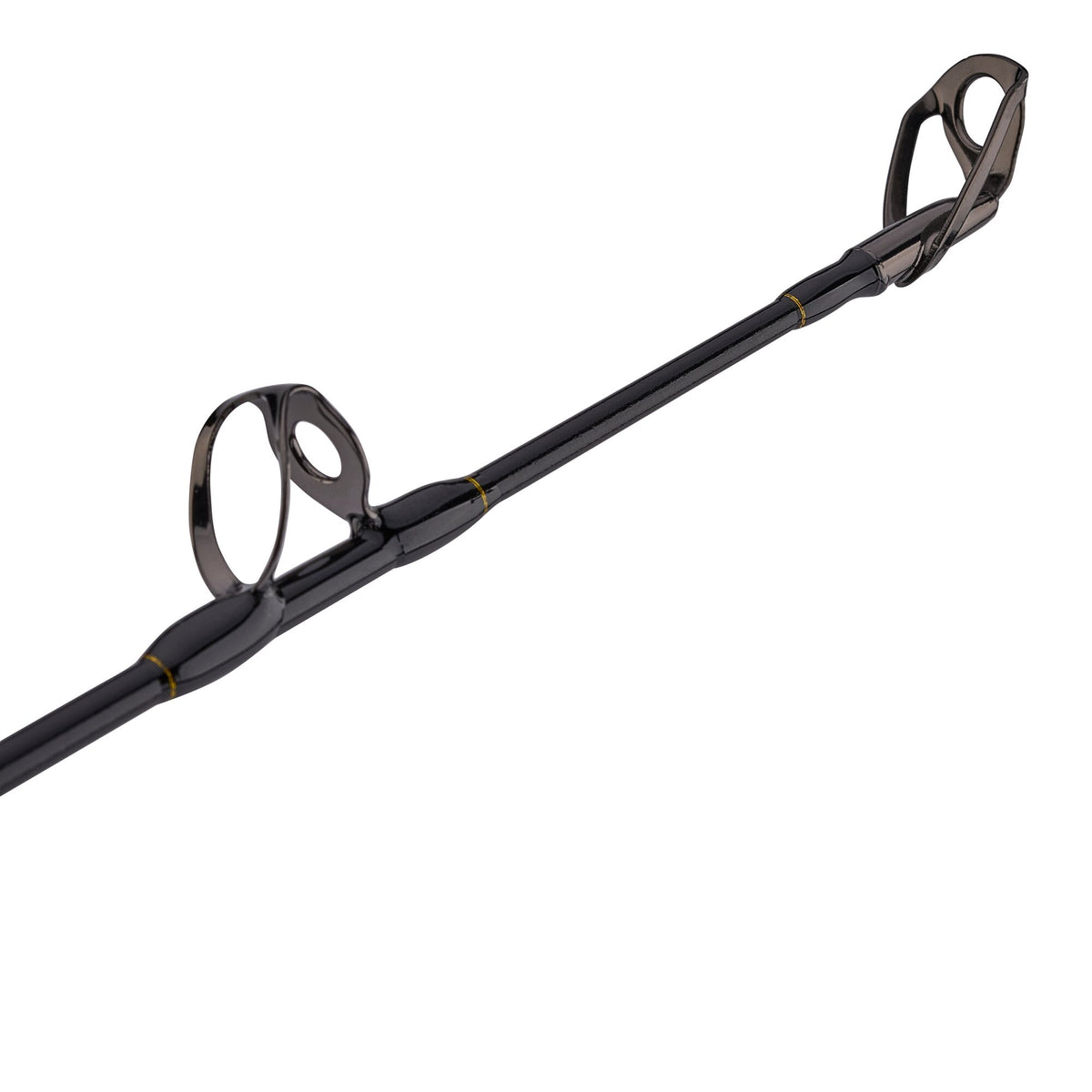PENN Squall® II Lever Drag Conventional Combo