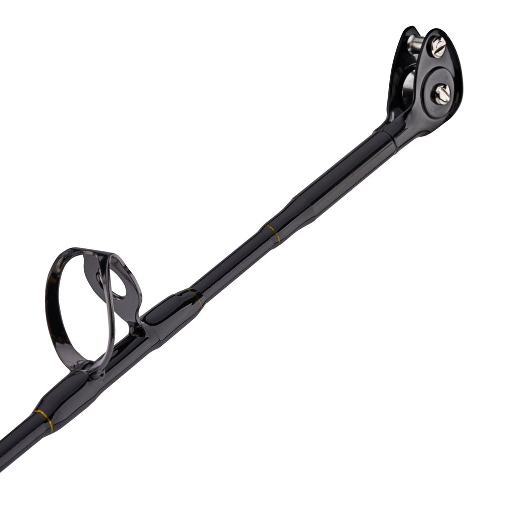 PENN Squall® II Lever Drag Conventional Combo
