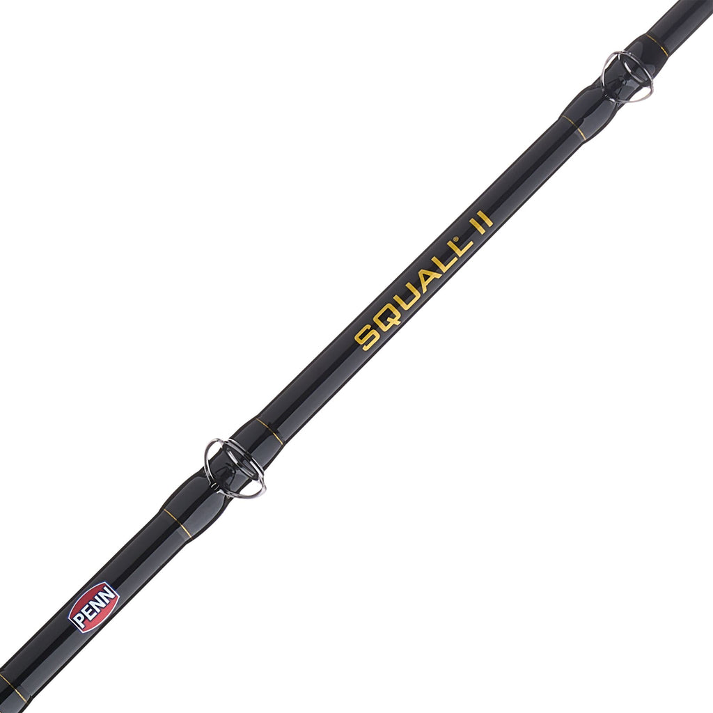 PENN Squall® II Lever Drag Conventional Combo