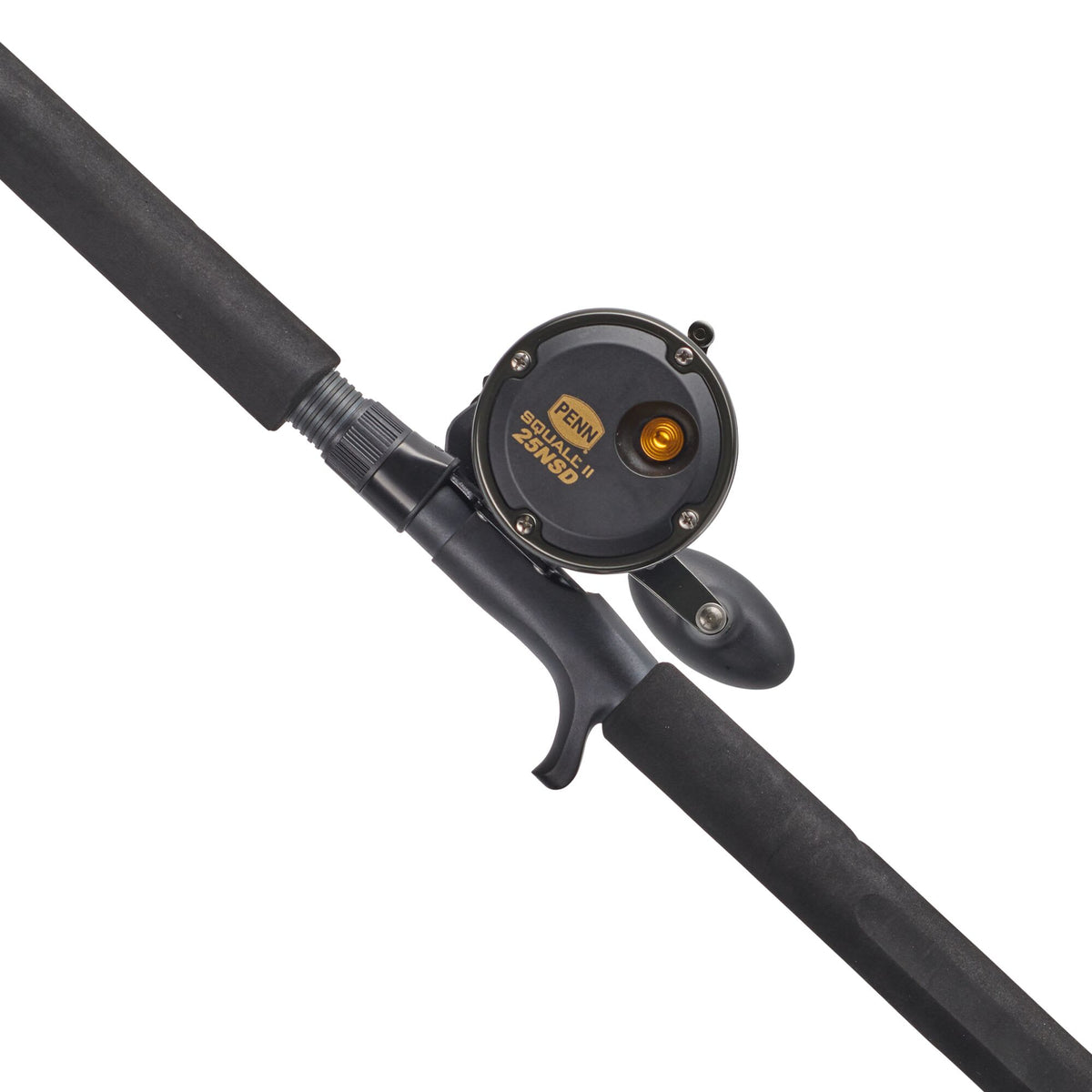 PENN Squall® II Star Drag Conventional Combo