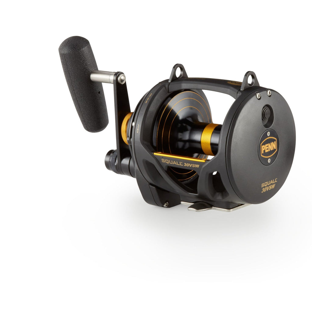PENN Squall® Lever Drag 2-Speed Conventional Reel