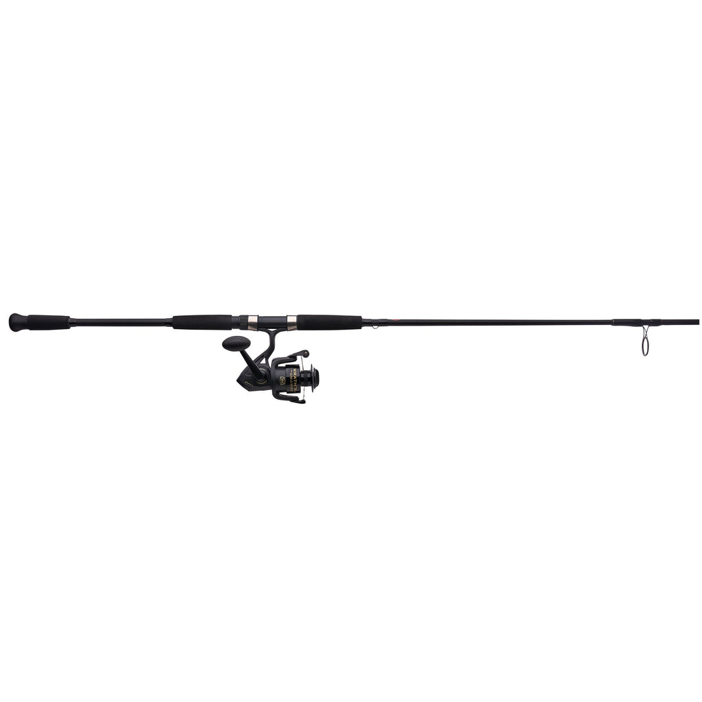PENN Wrath® II Spinning Combo