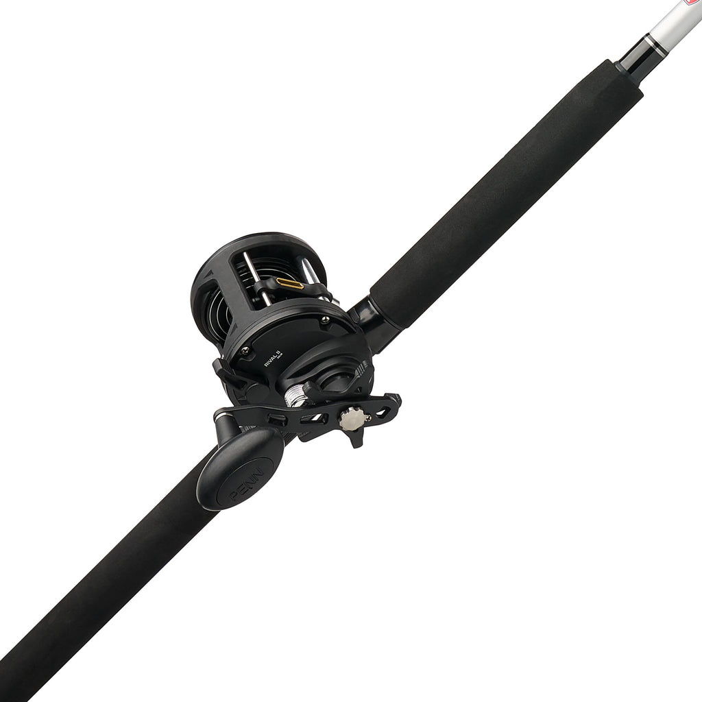 PENN Rival™ II Level Wind Combo