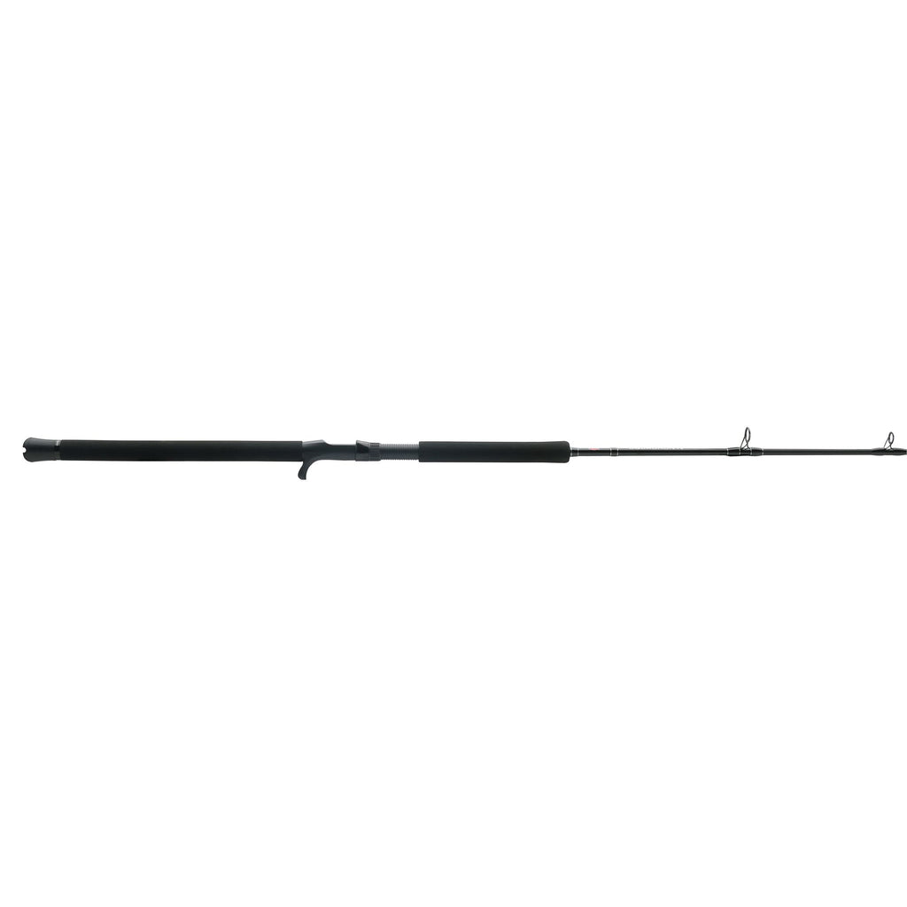 PENN Squadron® IV Jig Conventional Rod