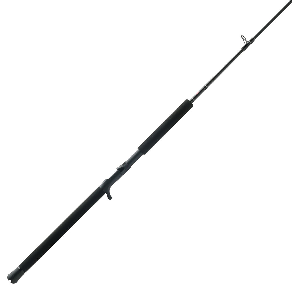 PENN Squadron® IV Jig Conventional Rod