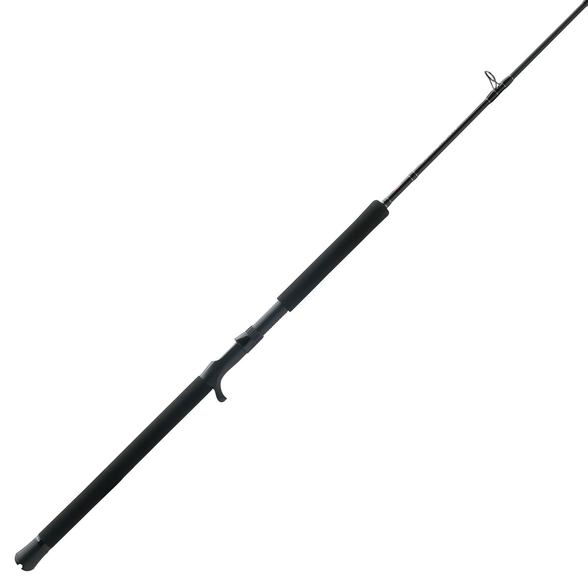 PENN Squadron® IV Jig Conventional Rod