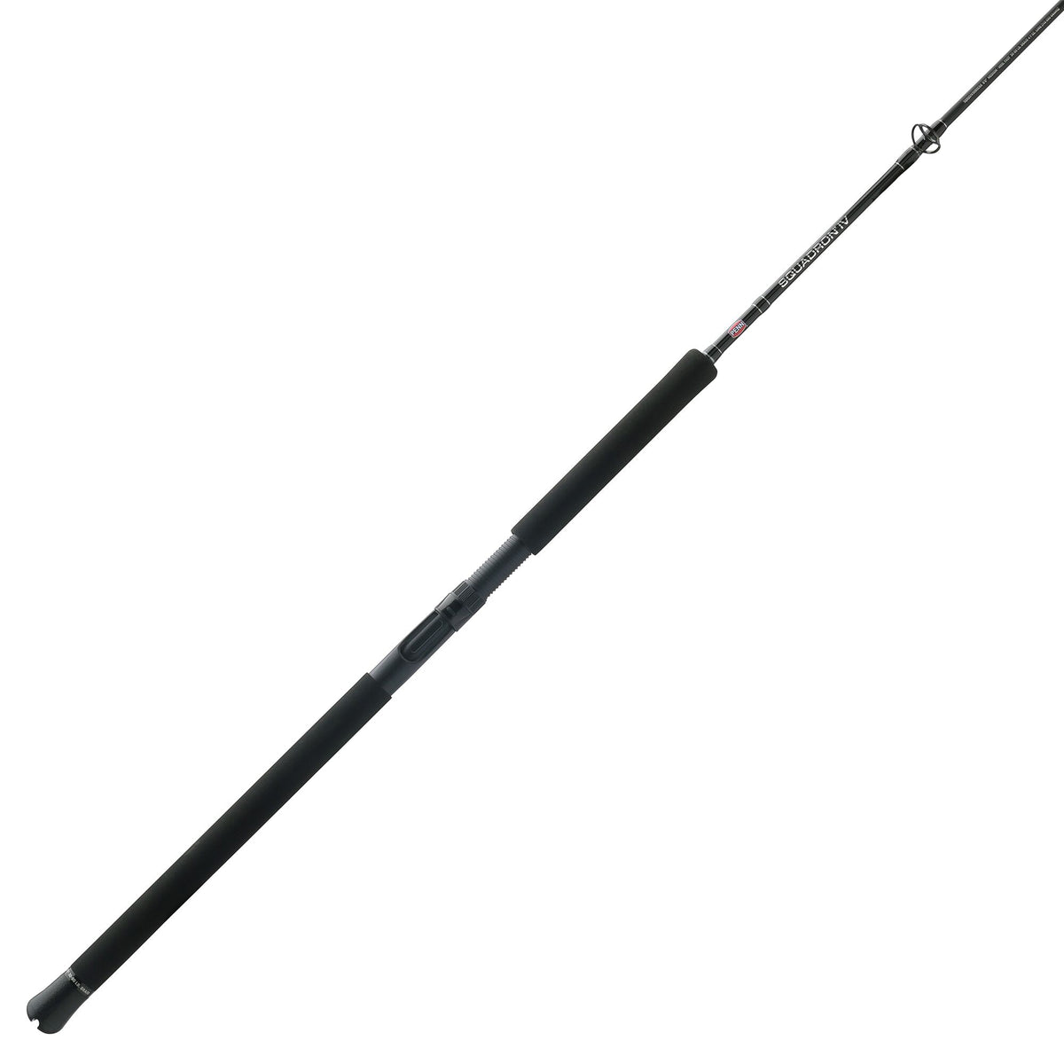 PENN Squadron® IV Jig Conventional Rod