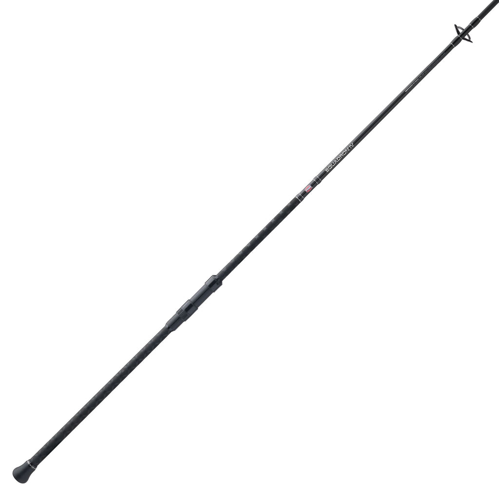 PENN Squadron® IV Surf Spinning Rod