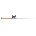 Pflueger President® Baitcast Combo