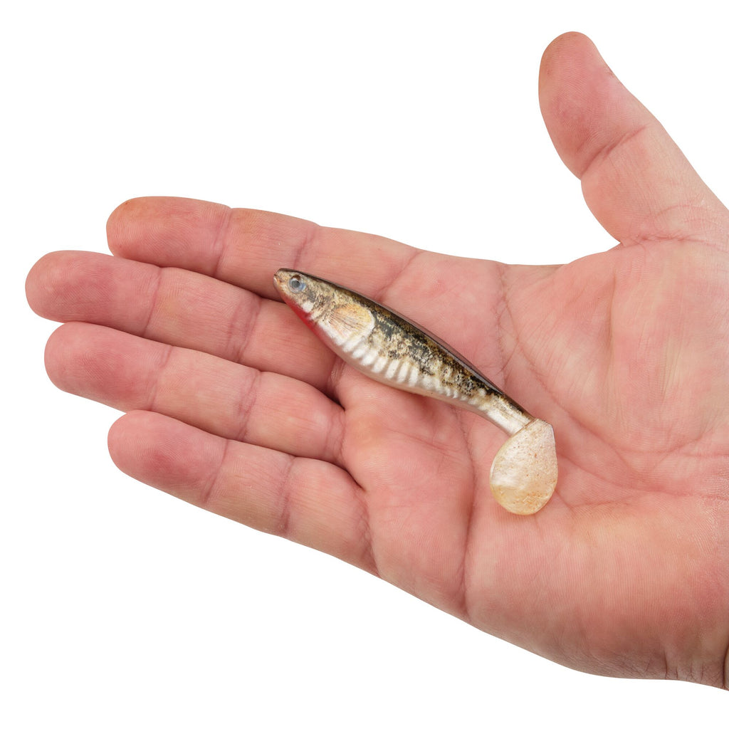 Berkley PowerBait® The Champ Swimmer